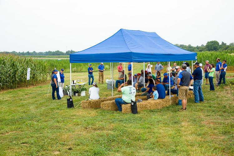 Participants at the 2017 Corn, Soybean and Tobacco Field Day.