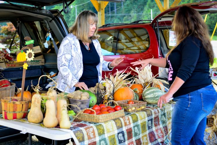 Donna Brewer sells at the Wolfe Co. Farmers Market 