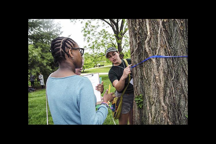 Amelia Baylon, NRES student, helps middle-school students measure a tree during 2017 Expanding Your Horizons STEM workshop.