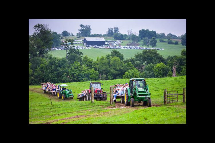 tractors in field