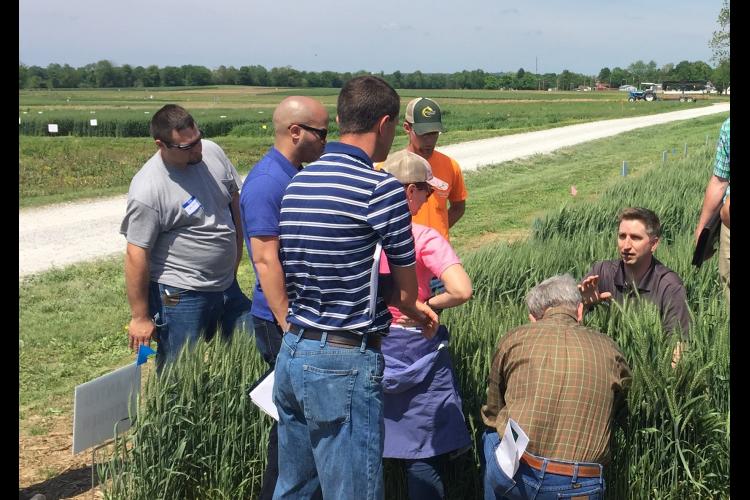 Chad Lee, kneeling center, director of the UK Grain and Forage Center of Excellence, talks to participants about wheat condition during a previous KATS training.