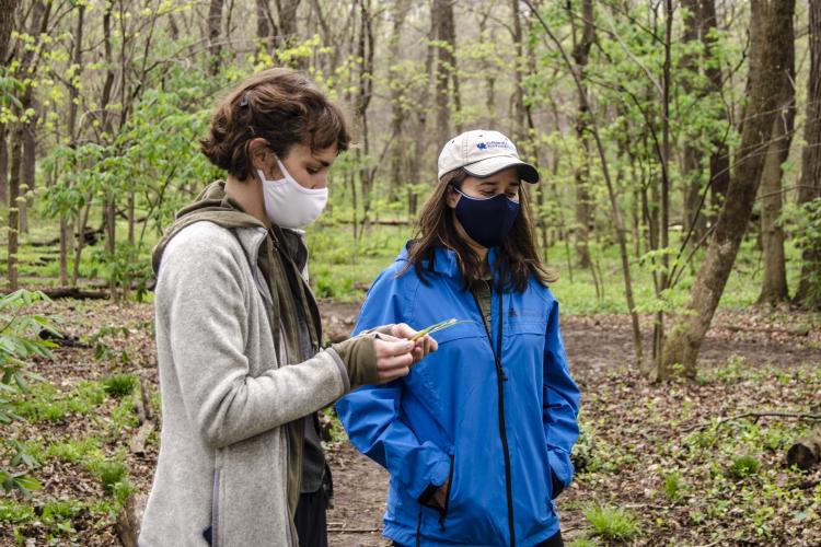 Ellen Crocker (right) discusses invasive plants during a clearing project. Photo by Carol Lea Spence, Ag Communications.