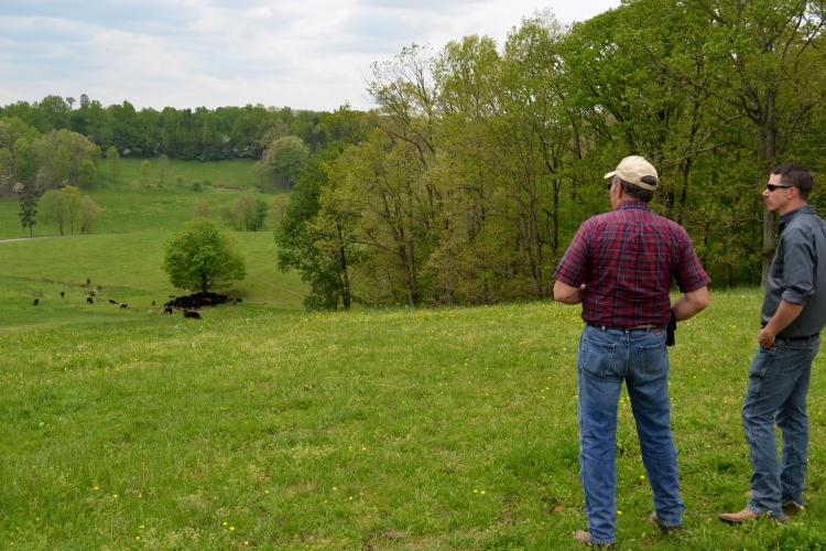 Jackson County producer Bob Hornsby, left, and David County, agriculture and natural resources extension agent, look at Hornsby's cattle and pastures during a recent visit. 