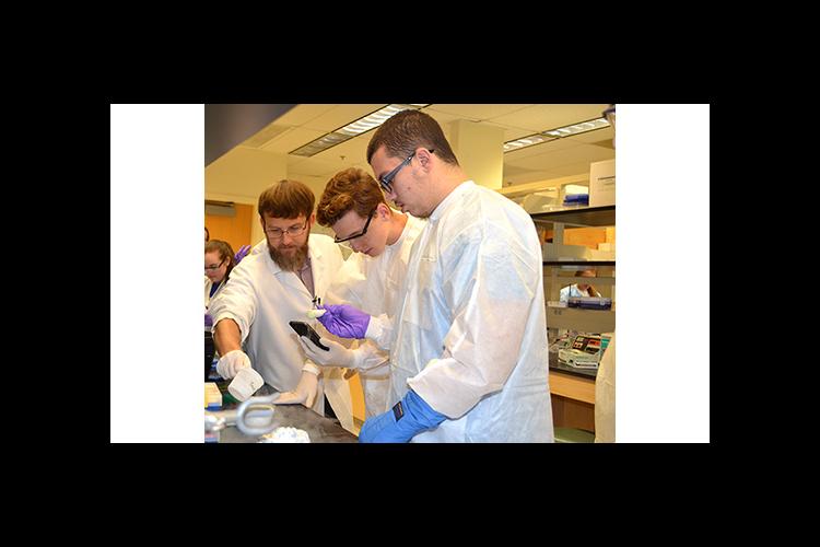 Lou Hirsch, left, helps two Garrard County High School students learn how to extract DNA in a UK lab. 