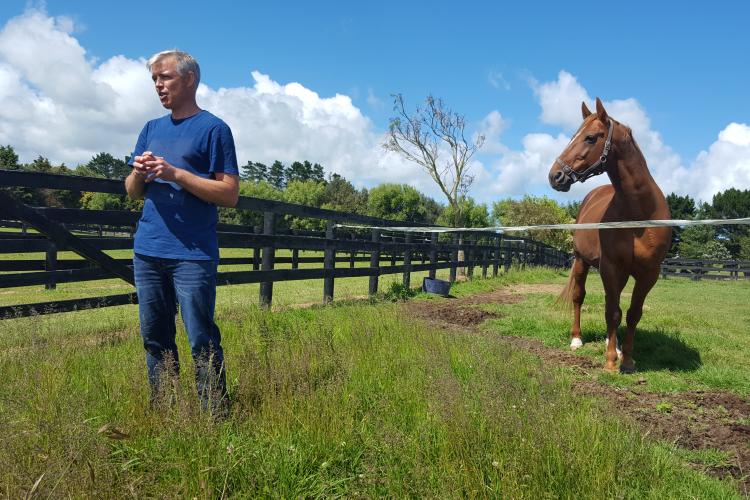 Martin Nielson educates viewers about parasite control. He is joined by Peak, a Danish-born Standardbred Trotter stallion. Location: Alabar Stud in Auckland, New Zealand. Photo credit: veterinary student Alyse Hansen, New Zealand.