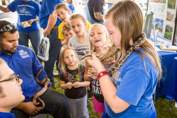 Interactive reptile exhibit from 2014 Mountain Ag Week 