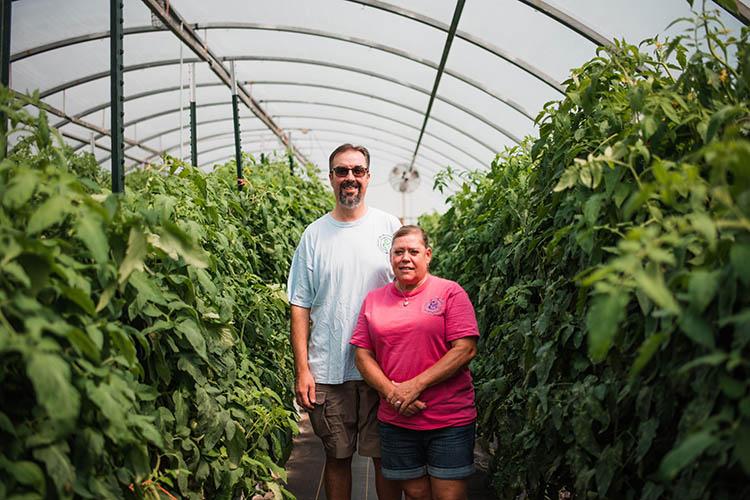 Mark and Velvet Henkle in a high tunnel with tomato plants