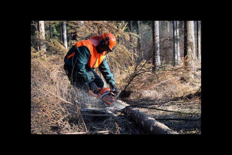 Master Logger continuing education classes offered in March | News