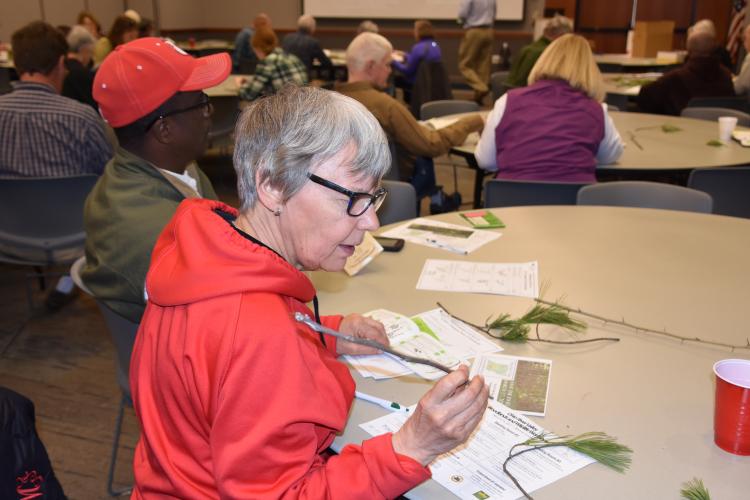 Tree identification is one of the many classes offered at the Ohio River Valley Woodlands and Wildlife Workshop.