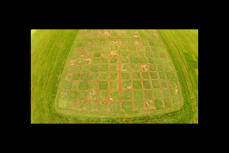 An aerial shot of the turf research plots at UK's A.J. Powell Jr. Turfgrass Research Center at Spindletop Research Farm. 