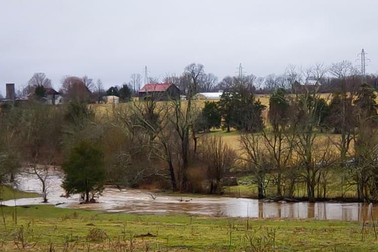 February rains flooding Kentucky pastures