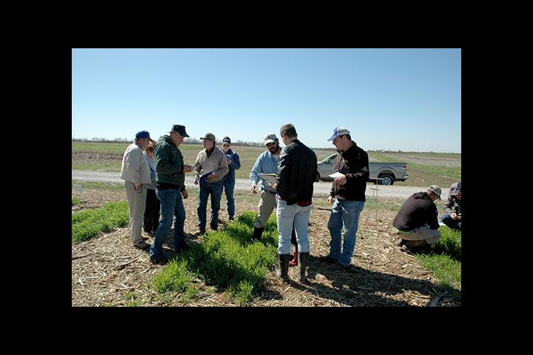 Edwin Ritchey, center, talks with producers during a 2017 Wheat Field School. 