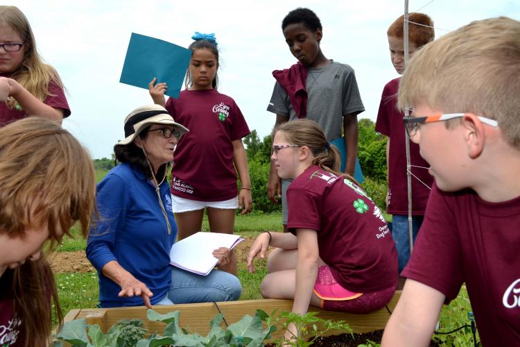 Zenaida Viloria, UK research analyst, shows students the progress of the plants in a raised bed at the UK Reseach and Education Center.