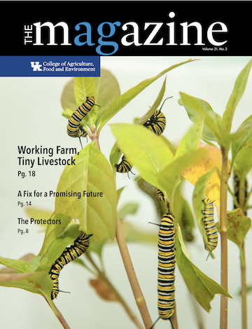 Cover of the AgMagazine for Fall 2019. Cover image displays multiple caterpillars on leaves