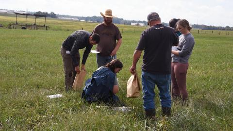 Field activities at University of Kentucky grazing school.
