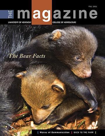 Cover of the AgMagazine for Fall 2011. Cover photo displays two bear cubs cuddled together.