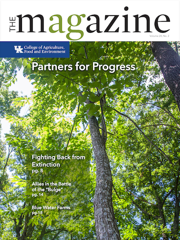 Cover of the AgMagazine for Fall 2018. Cover image displays a dense cluster of trees.