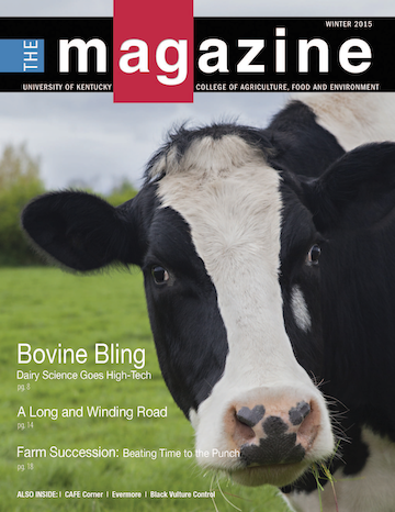 Cover of the AgMagazine for Winter 2015. Cover photo displays a cow with grass hanging from its mouth.