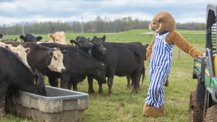 Beef Bash 2025 provides education, research and fellowship for Kentucky’s cattle producers
