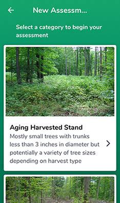 The HealthyWoods app asks users a series of questions.