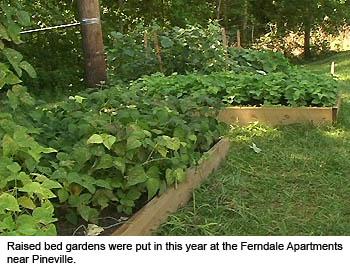 Organic Gardening Growing in East Kentucky County College News