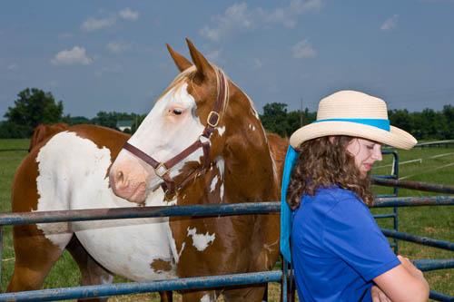 UK Ctr. for Leadership Development will study the effectiveness of using horses to teach. 