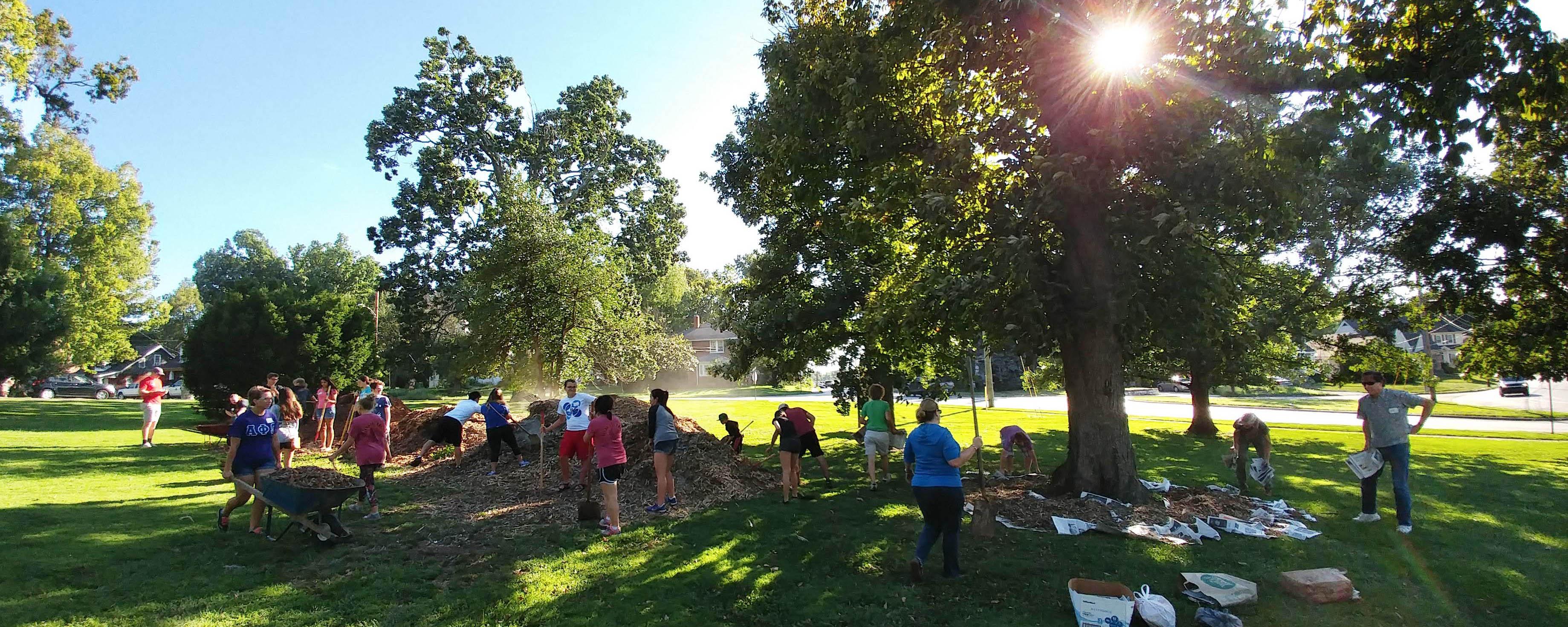 Volunteers at a tree-mulching event during Tree Week 2018