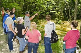 students in woods