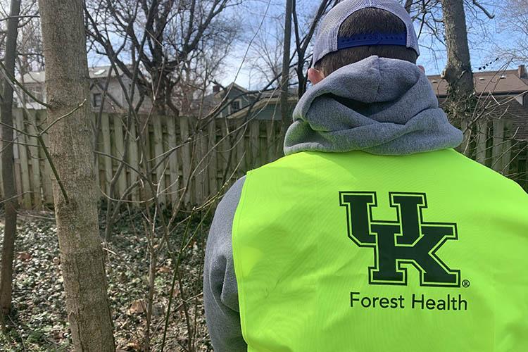 Forestry and Natural Resources student wears a UK forest health safety vest while working in The Arboretum Woods.