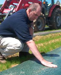 UK Extension horticulture associate Nathan Howell compares green and black plastic mulch at a demonstration plot. Ryegrass has been planted between rows of cantaloupe to suppress weeds.