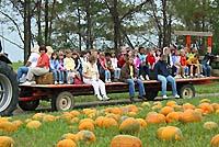 hayride in pumpkin patch
