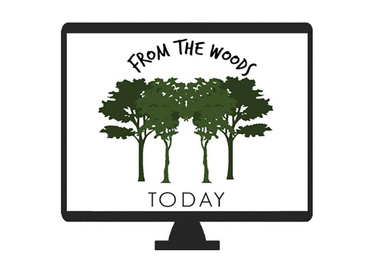 From the Woods Today logo