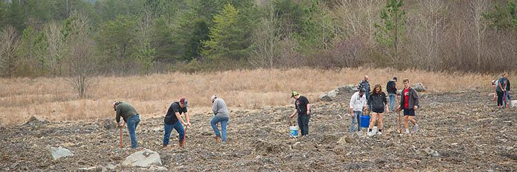Students from UK and Whitley County High School help to reforest an old strip mine in Whitley County, Kentucky.