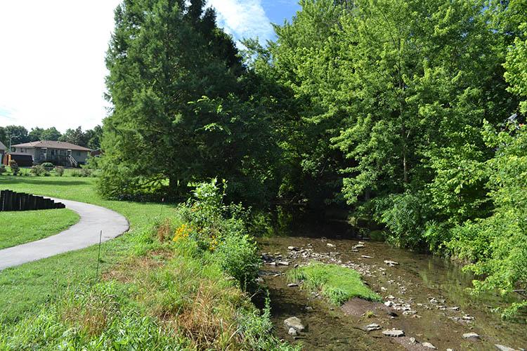 Wolf Run Creek in Gardenside Park, Lexington, Ky.